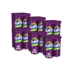 Fanta Cassis 24 Stück