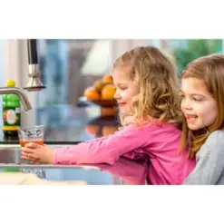 Roosvicee Fruitkracht pruimen siroop