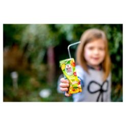 Roosvicee Fruitkracht pruimen siroop