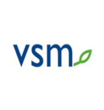 VSM