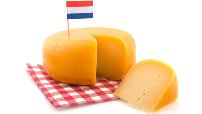 Gouda kaas